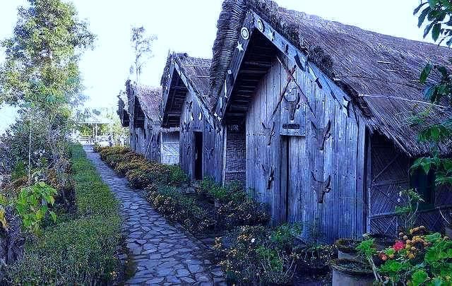 Nagaland Express: 4-Day Cultural & Nature Getaway Tour Package